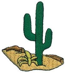 kaktuszz.jpeg